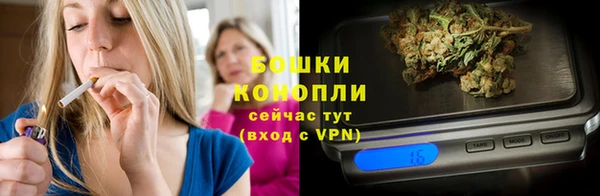 винт Бородино