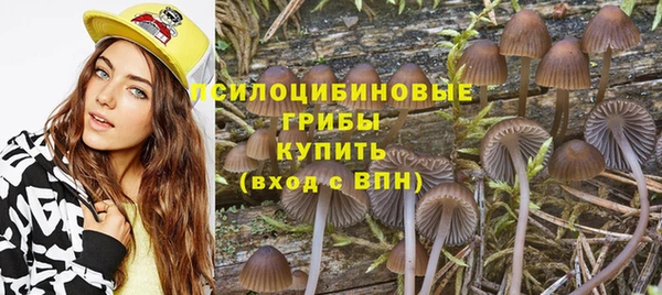 амф Белоозёрский