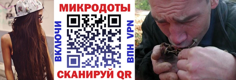 как найти закладки Будённовск Галлюциногенные грибы Magic Shrooms